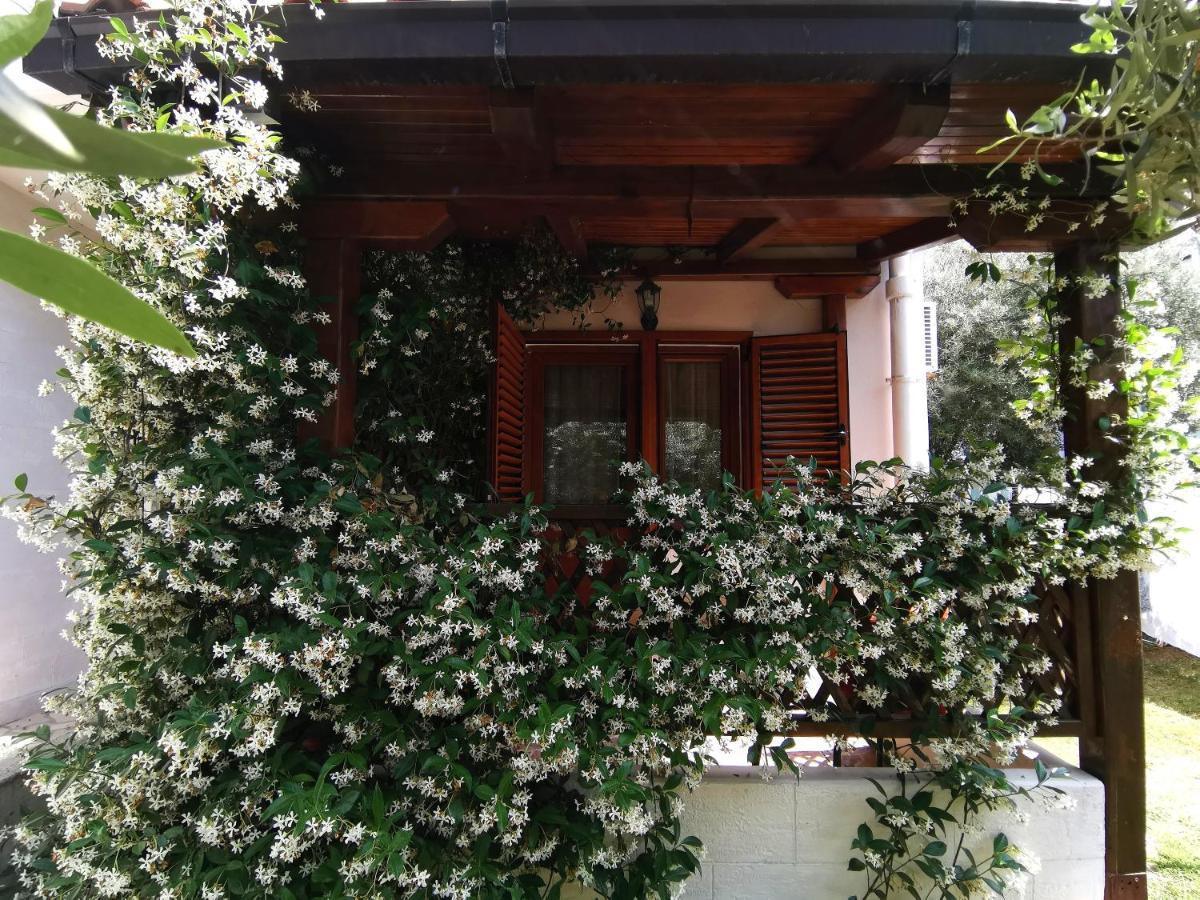 Apartments Maris Garden Petrovac Kültér fotó