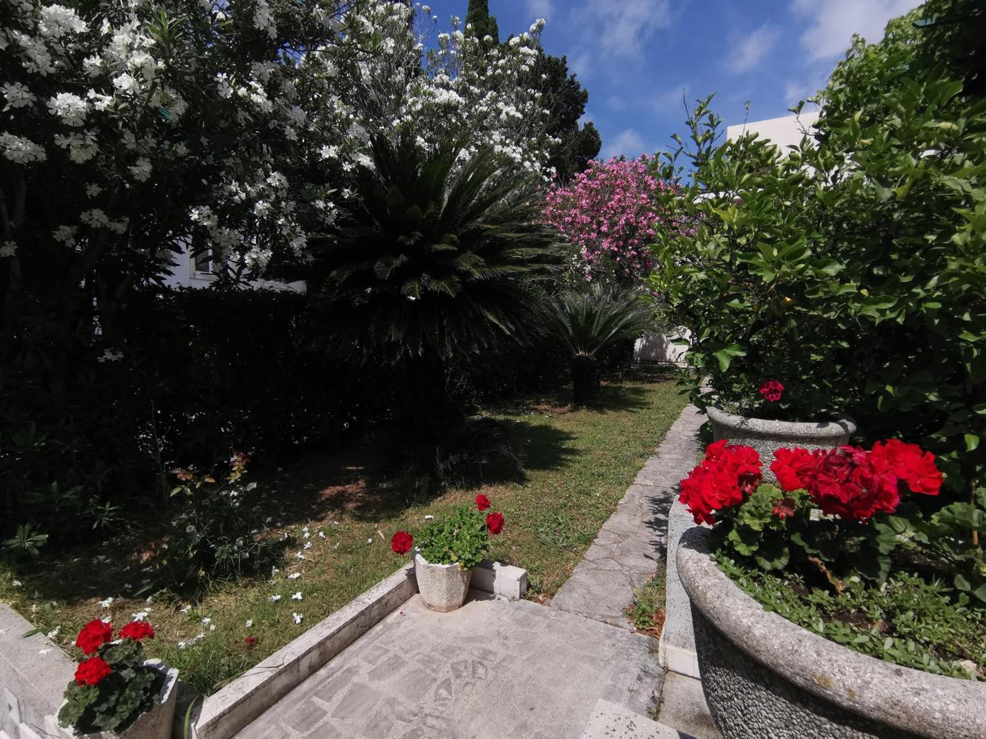 Apartments Maris Garden Petrovac Kültér fotó