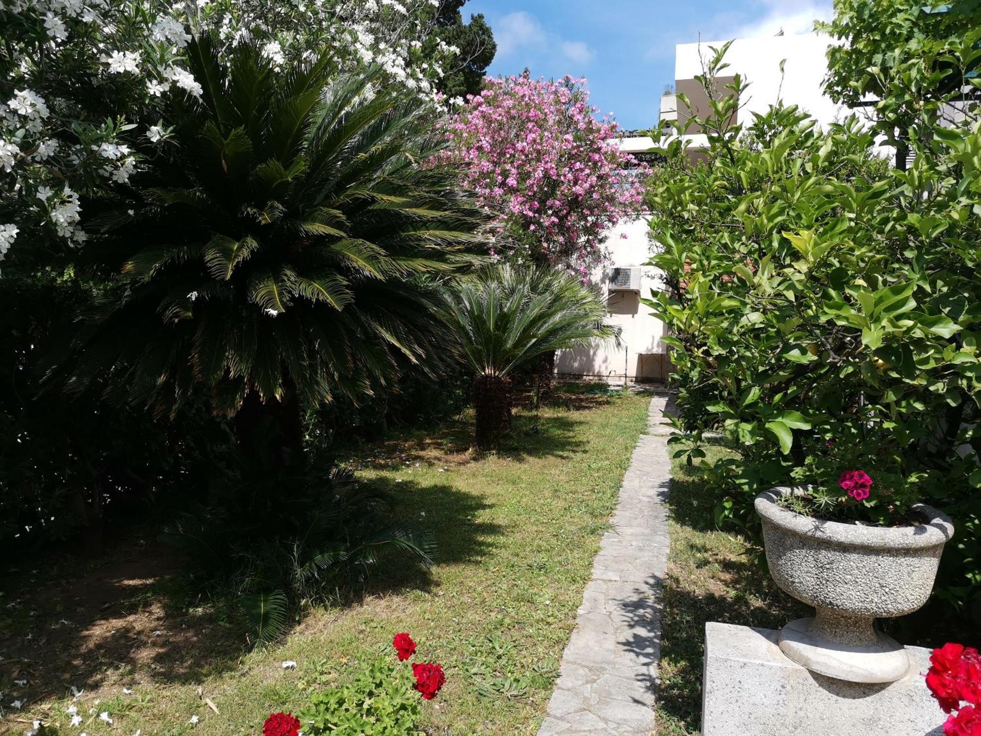 Apartments Maris Garden Petrovac Kültér fotó