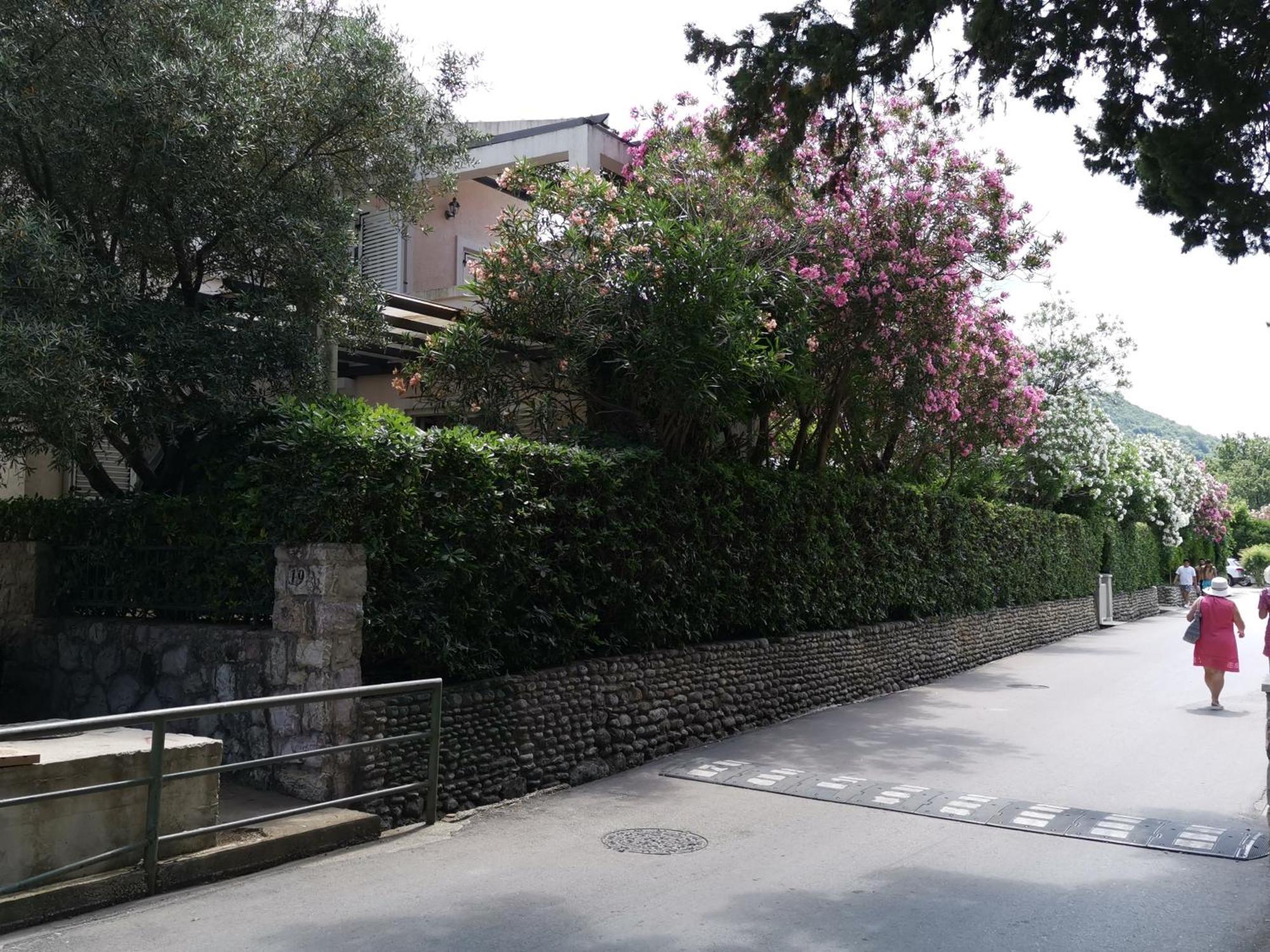 Apartments Maris Garden Petrovac Kültér fotó