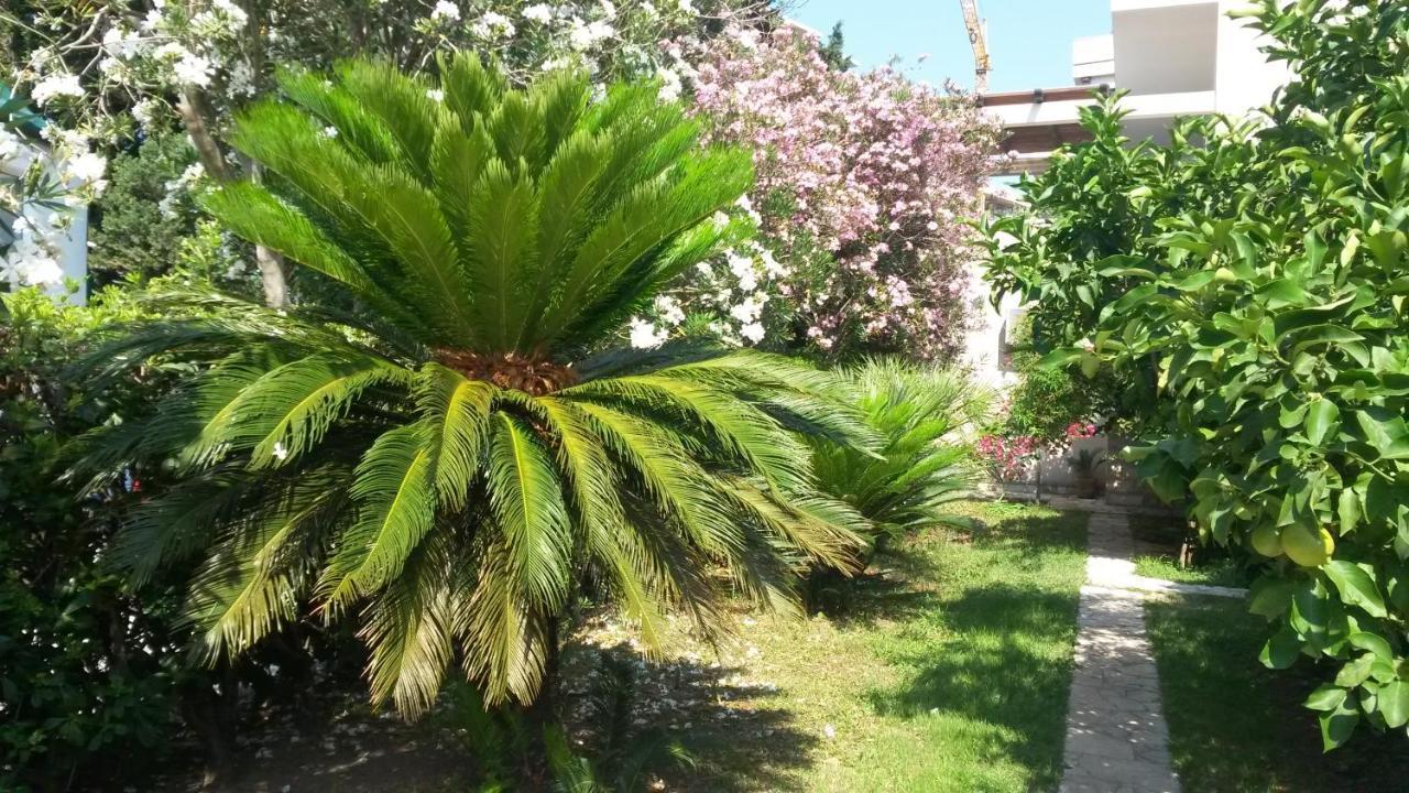 Apartments Maris Garden Petrovac Kültér fotó